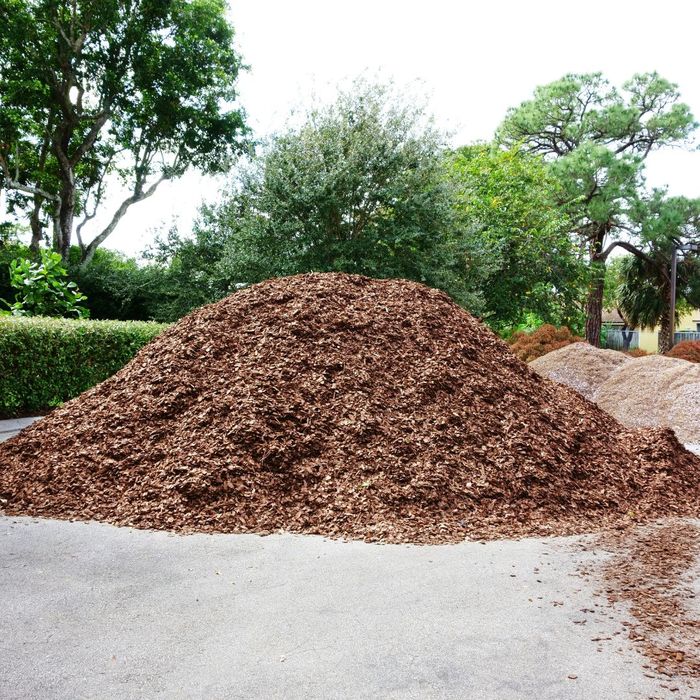 Mulch Installation Cost Comparison Bagged vs. Delivered 4th
